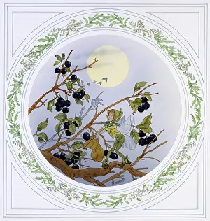 Blueberries: Fairy collects berries in the evening light