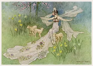Coquette: The Fairy Coquette