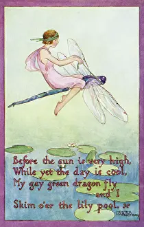 Hester: Fairy on a dragonfly