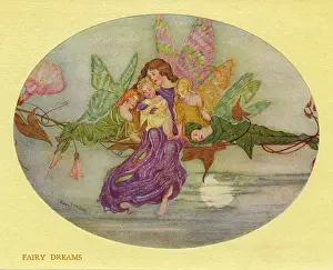 Hilda: Fairy Dreams by Hilda T Miller