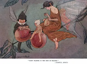 Fyleman: Fairy flannel is the skin of peaches
