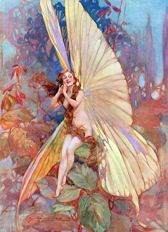 Barribal: The Fairy of Flight by William Barribal