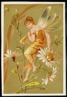 Fairy on Flower