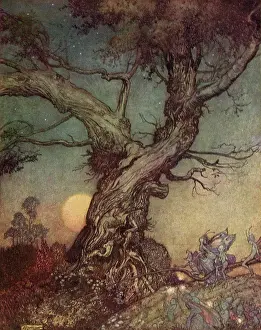 Gnarled: Fairy folk by an old gnarled tree - Arthur Rackham