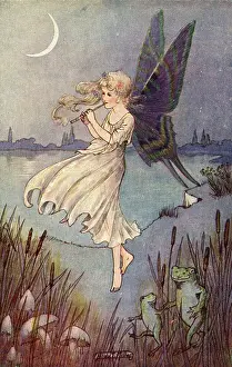 Midsummer: Fairy and Frogs, by Hilda T Miller