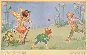 Wickets: Fairy Games - cricket