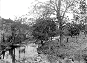 Rostrevor: The Fairy Glen, Rostrevor