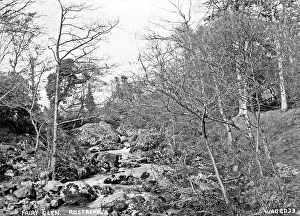 Rostrevor: Fairy Glen, Rostrevor