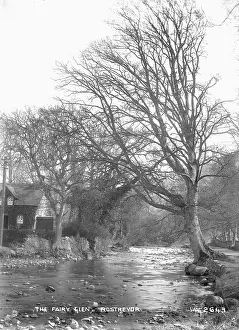 Level: The Fairy Glen, Rostrevor