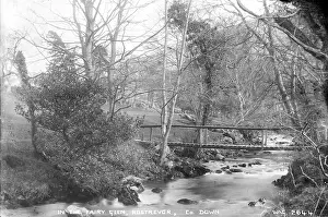 Glen: In the Fairy Glen, Rostrevor, Co. Down