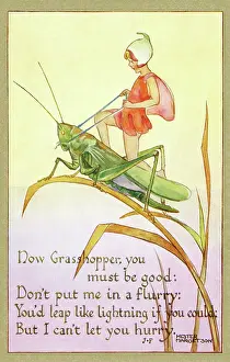 Hester: Fairy on a grasshopper