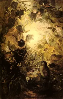 Bats: The Fairy Haunt