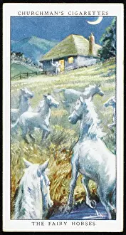 Emerge: Fairy Horses