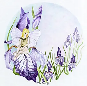 Fawcett: Fairy on Iris ' fairy sitting on a purple iris