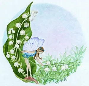 Fawcett: Fairy on Lily of the Valley
