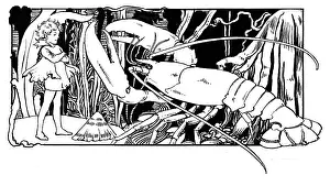 Lobsters: Fairy and lobster
