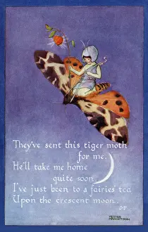 Hester: Fairy on a moth