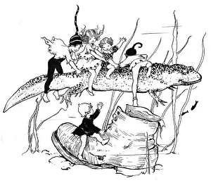 Newts: The Fairy Omnibus