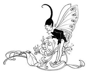 Ladybirds: Fairy pointing at a ladybird