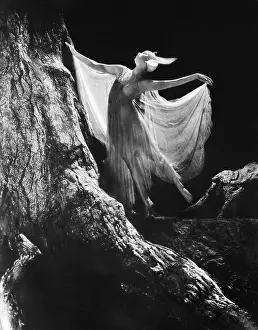 See Through: Fairy posing against a large tree trunk