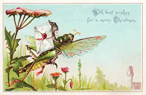 Grasshoppers: Fairy postman riding grasshopper on a Christmas card