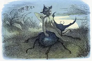 Messenger: The Fairy Queen's Messenger': Illustration by