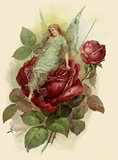 Fairy on Red Rose