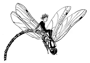 Fairy riding on a dragonfly