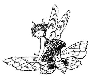 Squash: Fairy riding on a moth