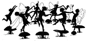 Toadstools: The Fairy Ring