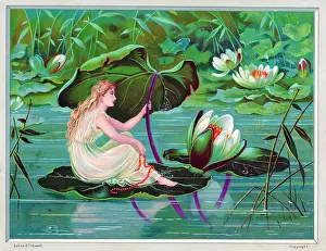 Fairy sheltering under lily leaf on a greetings card