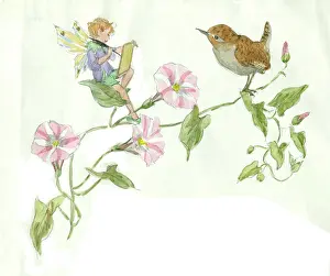 Sketching: Fairy sitting on a leaf sketching a wren
