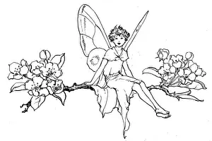 Faerie: Fairy sitting on pear blossom branch