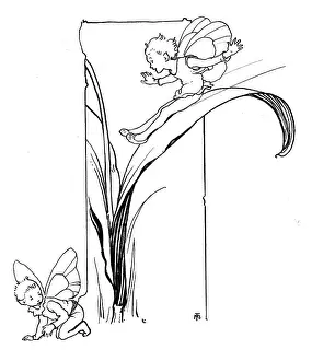Slides: Fairy sliding down tulip leaf