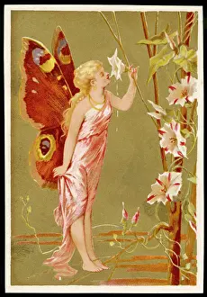 Fairy Smelling a Flower