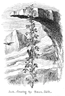 Beanstalk: Fairy tale, Jack the Giant Killer