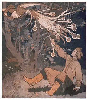 Tsarevich: Fairy Tales - The Firebird