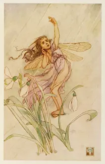 Pleading: FAIRY TEARS