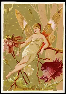 Lightly: Fairy on Twig