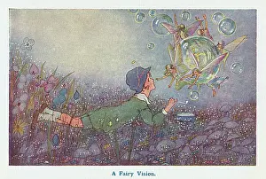 Toadstools: A Fairy Vision