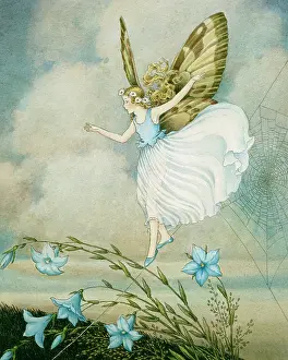 Spiders: Fairy walking on a spiders web