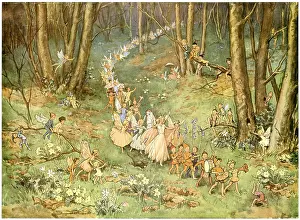 The Fairy Way