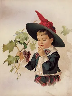 Picked: Fairy Wine-Skins