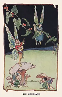Cottam: Fairyland