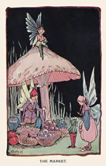 Cottam: Fairyland