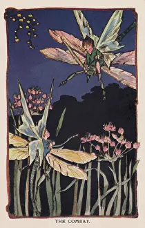 Dragonflies: Fairyland