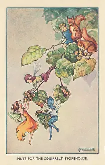 Storehouse: Fairyland