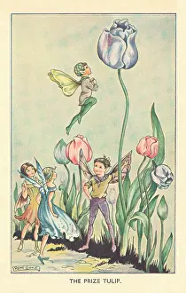 Fairyland