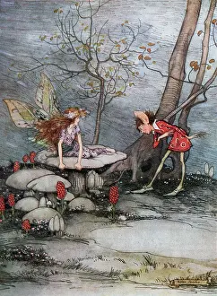 Cried: Fairyland