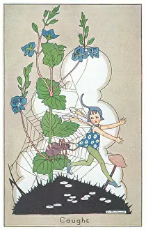 Rickard: Fairyland - Caught